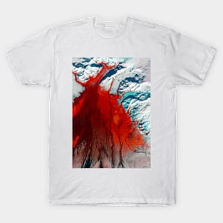 ABSTRACT 5 T-Shirt